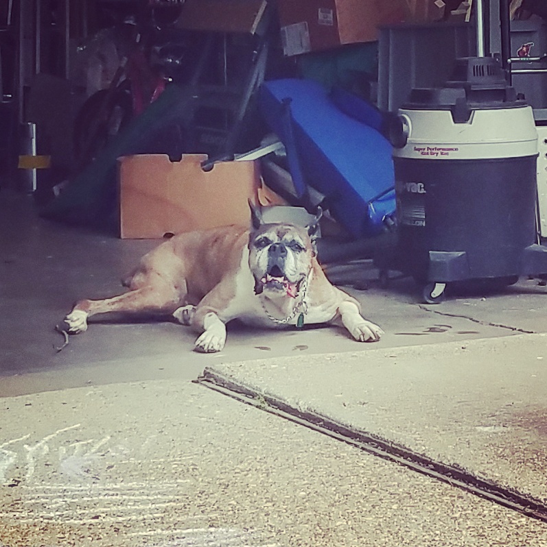 IMG_20170704_115621_620