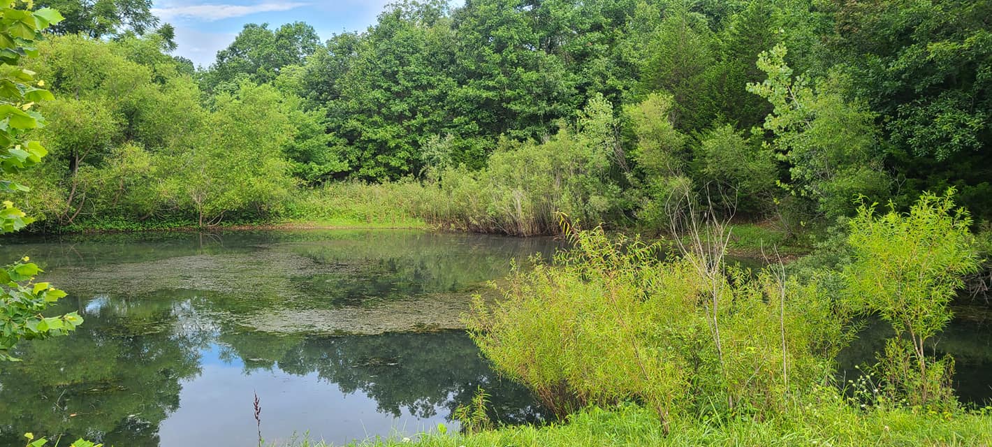 117226474_10158303941798070_6755122828776137988_o